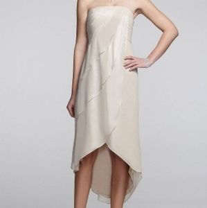 Beautiful Metallic Formal Dress